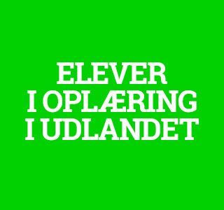 ELEVER I OPLÆRING I UDLANDET