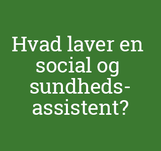 PÆDAGOGISK ASSISTENT