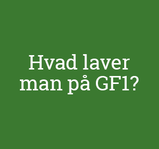 PÆDAGOGISK ASSISTENT