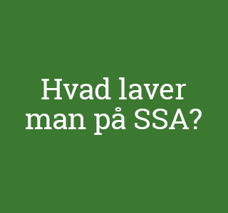 PÆDAGOGISK ASSISTENT