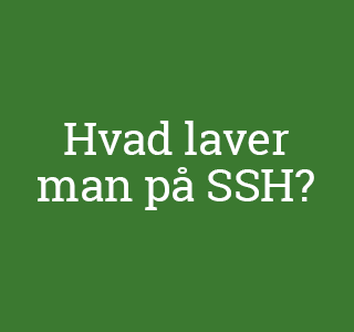 PÆDAGOGISK ASSISTENT