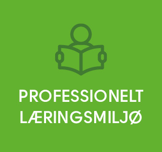 Strategien om professionelt læringsmiljø