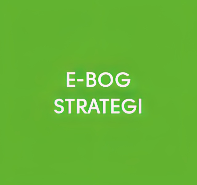 E-bog Strategi