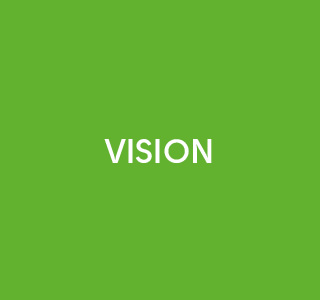 Vision